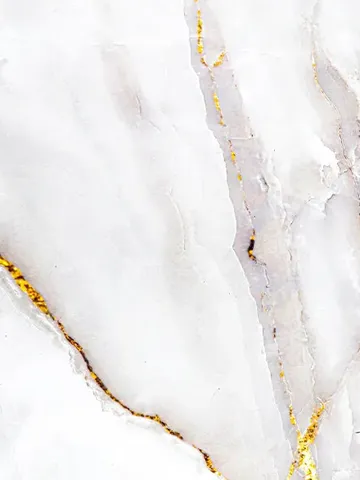 Empress Gold panel finish: marble look, polished white with gold veins