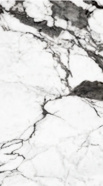 Continuous Pattern panel finish: continuous marble look, white with bold dark branching veins