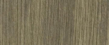 Wood panel finish: wood look, weathered light gray-beige, striped grain