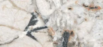 Glossy Stone panel finish: glossy stone look, white with bold brown and black patches