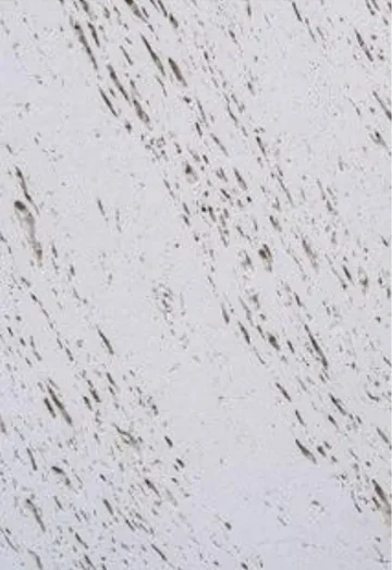 Travertine Marble panel finish: travertine look, pale blue-gray with diagonal streaks