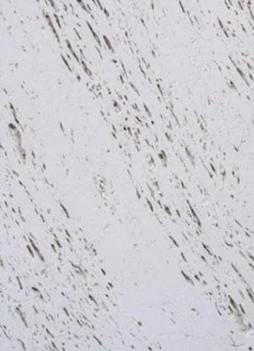 Travertine Marble panel finish: travertine look, light gray with diagonal pitted streaks